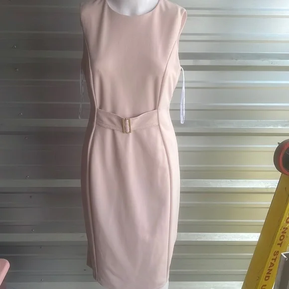 Calvin Klein | Dresses | Size 6 Calvin Klein Blush Pink Business Dress |  Poshmark